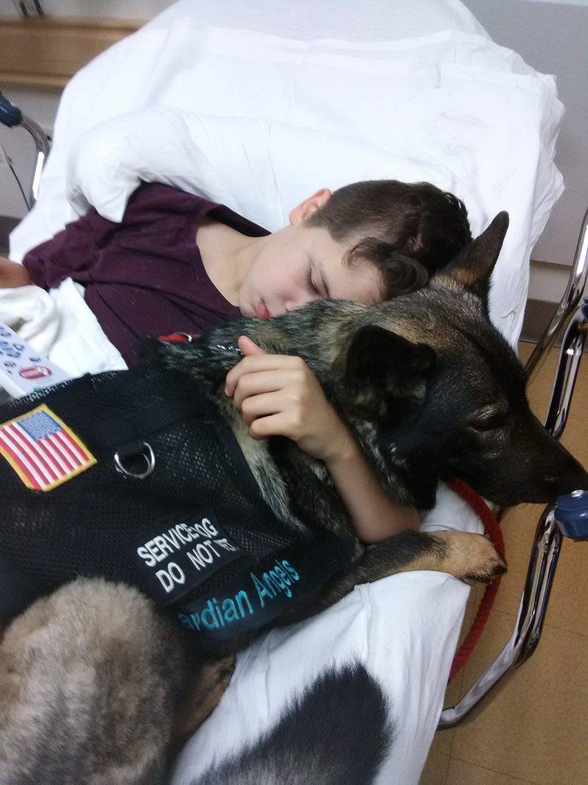 2019 Service Dog Hero of the Year Awarded to Guardian Angels Medical