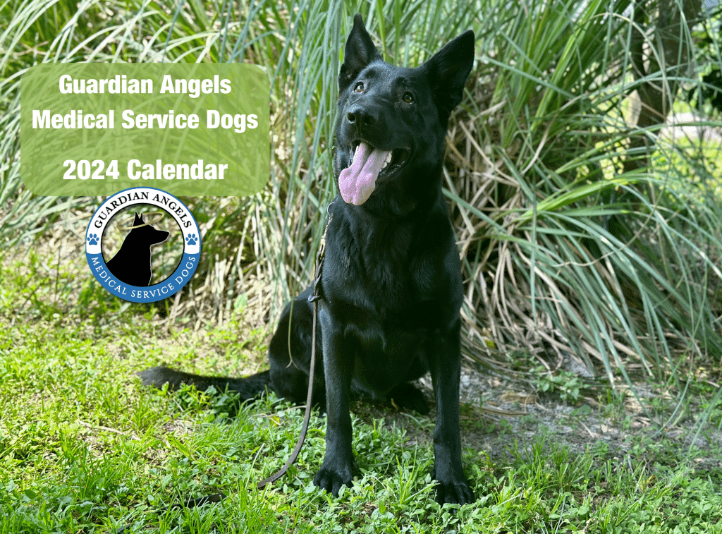Transforming Lives - Guardian Angels Medical Service Dogs - Guardian Angels Medical Service Dogs Inc