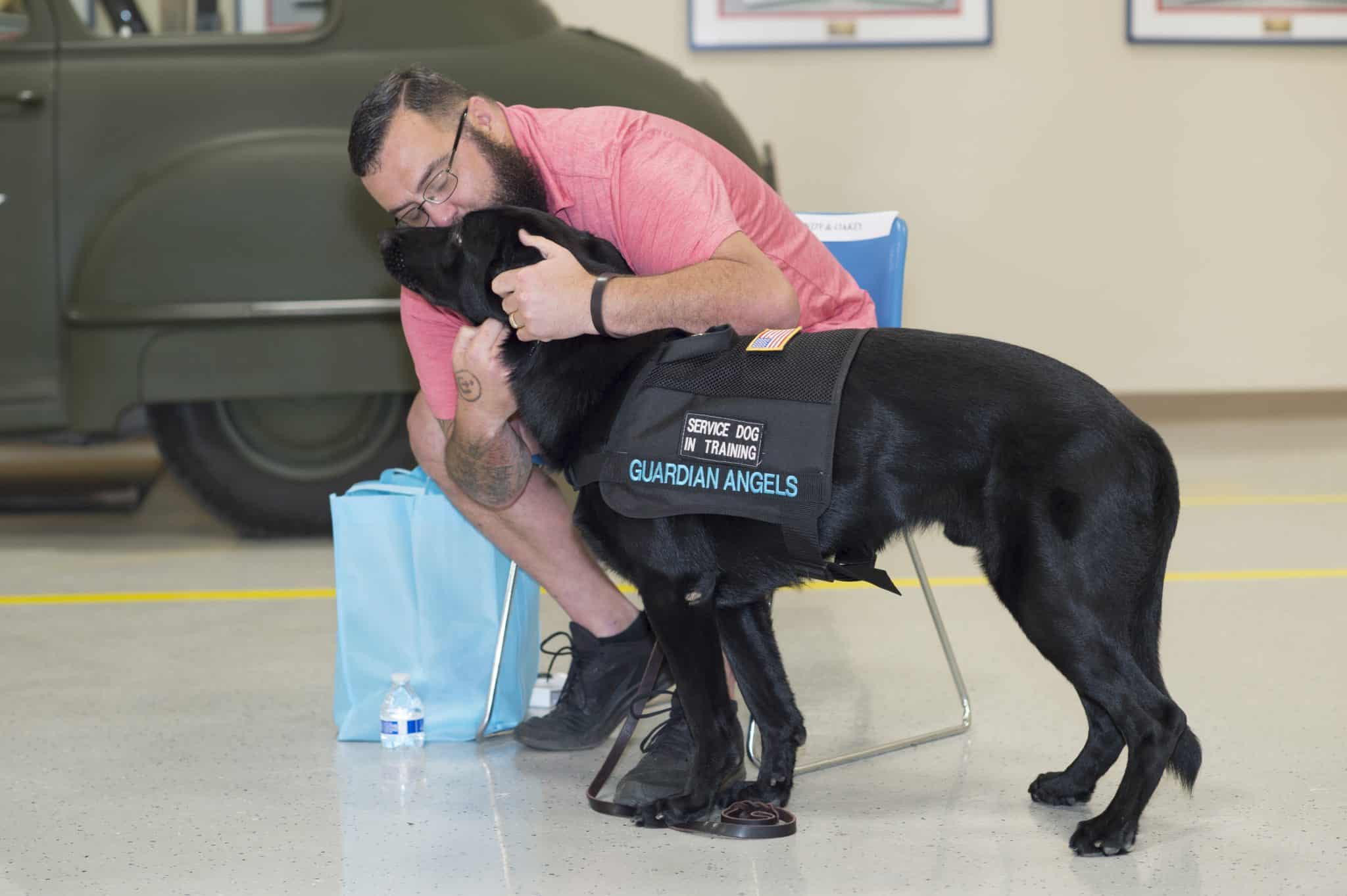 Medical Service Dog out in Public working