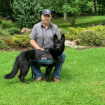 Service Dog Communication: How Dogs Alert to Medical Changes
