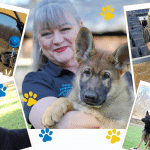 Celebrating Carol Borden's 70th Birthday with a Special Cause