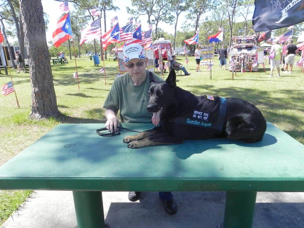 Veteran with service dog