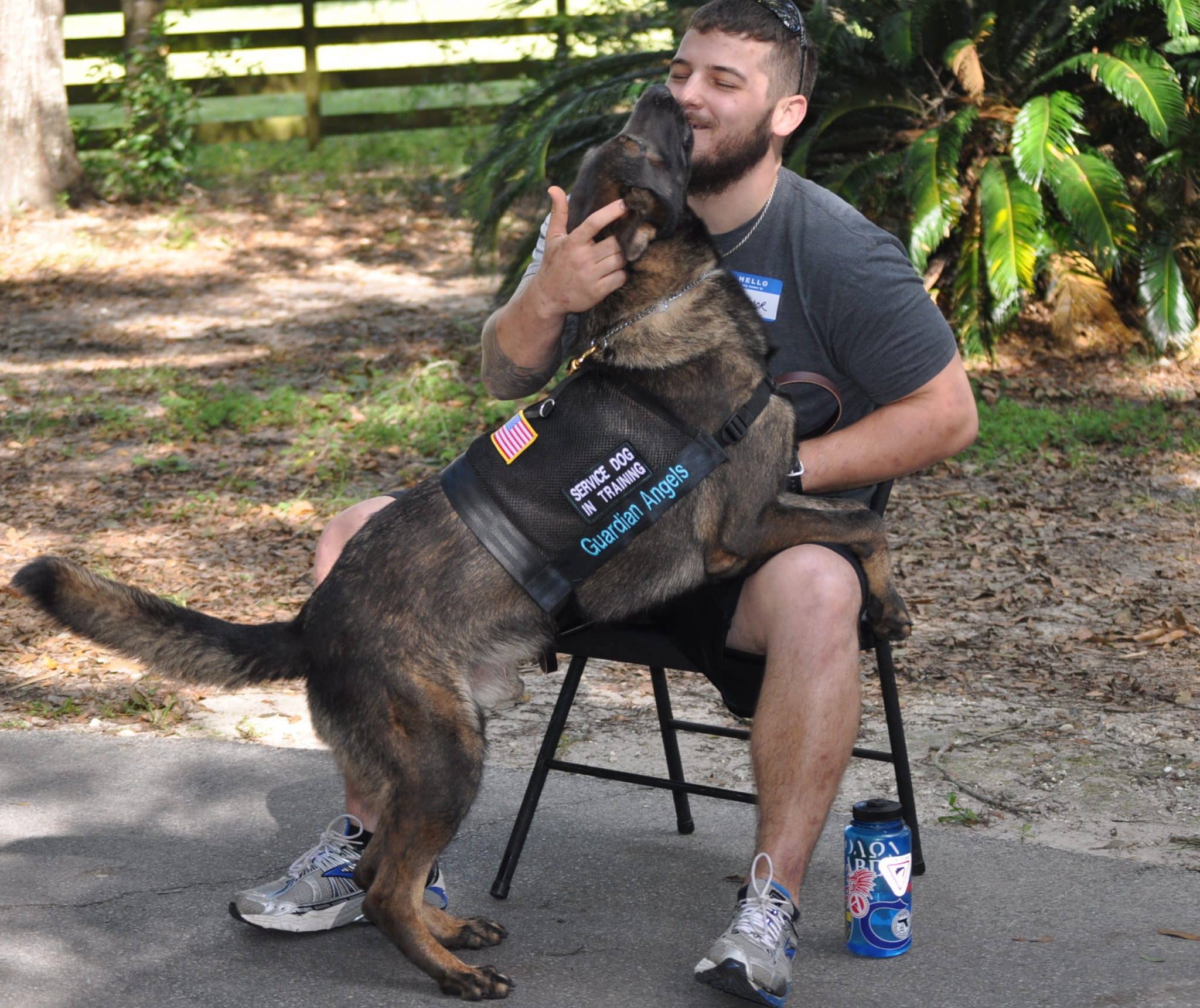 Benefits of Service Dogs for Veterans