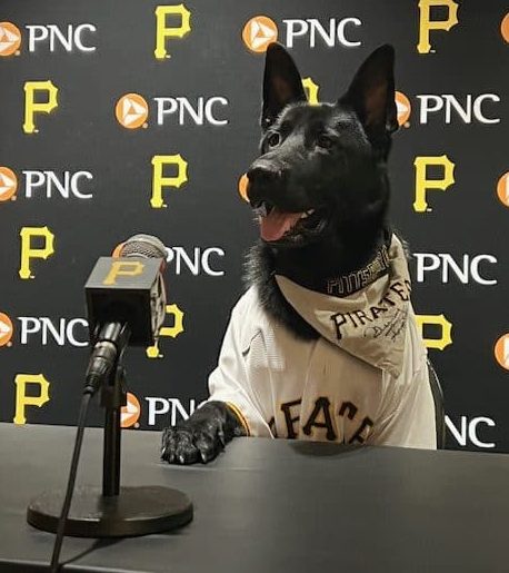 Dogs, Baseball, and Community: Guardian Angels Medical Service Dogs, Bully Max, and Pittsburgh Pirates Team Up