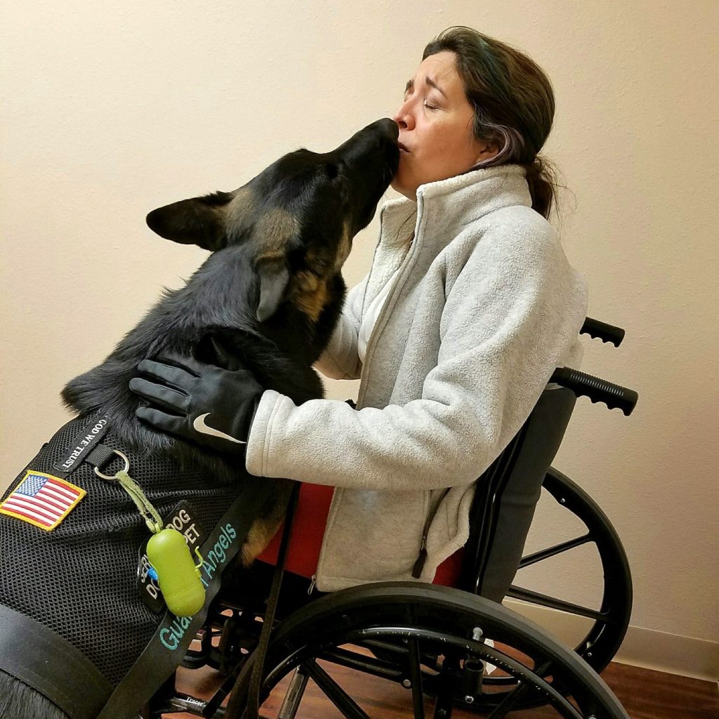 Emergency Situations: How Medical Service Dogs Respond