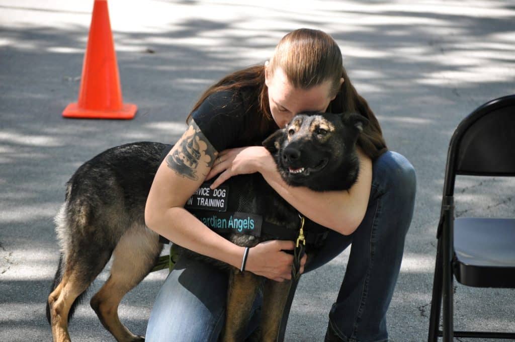 The Importance of Service Dog Etiquette: Do's and Don'ts