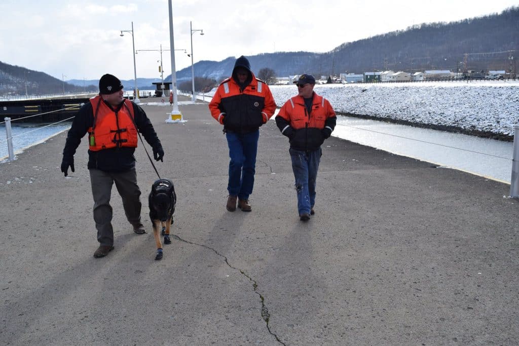 Beyond the Basics - Unconventional Service Dogs Tasks