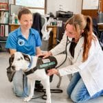 Improved Care and Lower Costs – Guardian Angels’ On-Site Vet Hospital