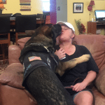 The Ripple Effect: How Service Dogs Improve Family Dynamics & Relationships