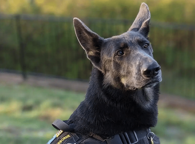 Message from Our Founder - 2025: A Year of Life-Changing Service