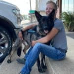 Holiday Safety Tips for Service Dogs What Recipients and the Public Should Know